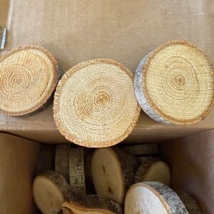 Natural Wood Slices for Crafts